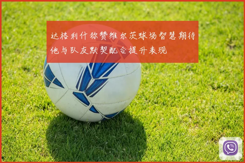 达格利什称赞维尔茨球场智慧期待他与队友默契配合提升表现